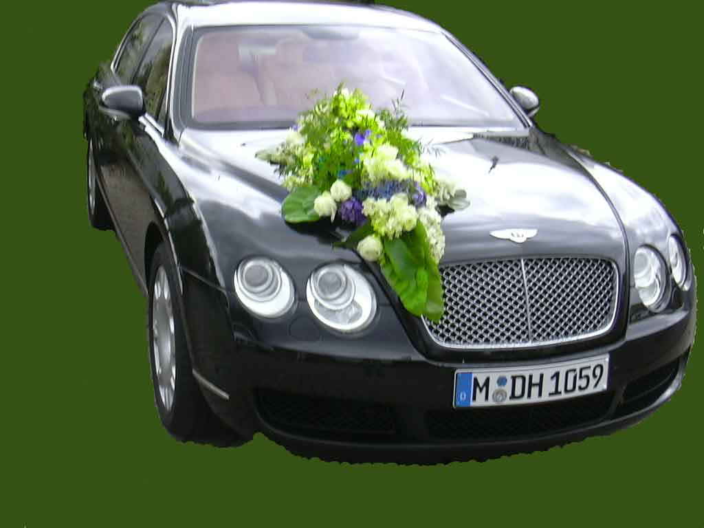 Bently0501